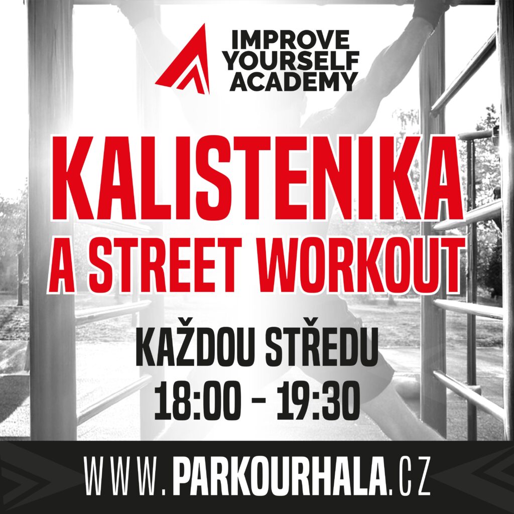 KALISTENIKA A STREET WORKOUT